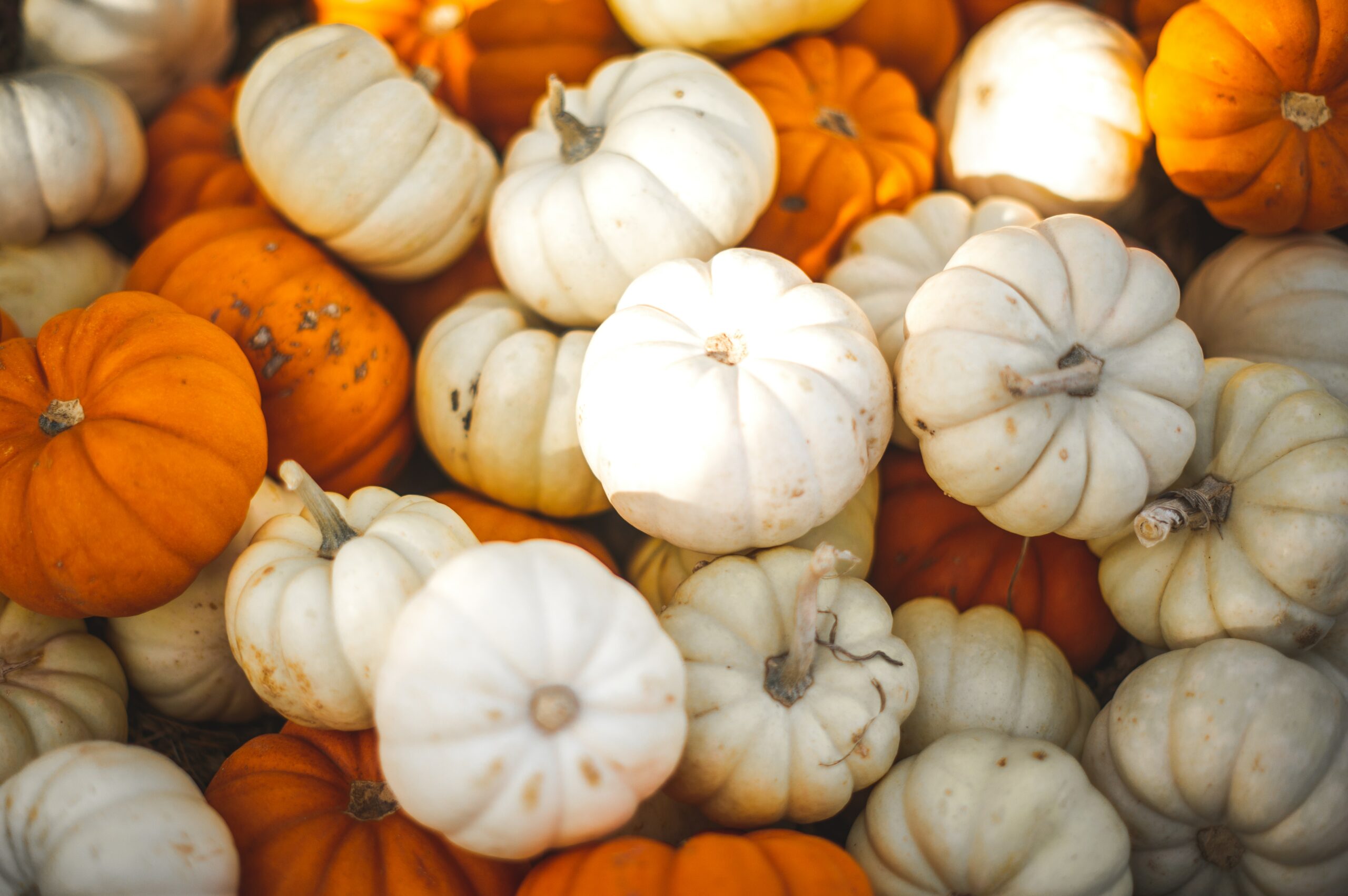 Stacked white and orange pumpkins