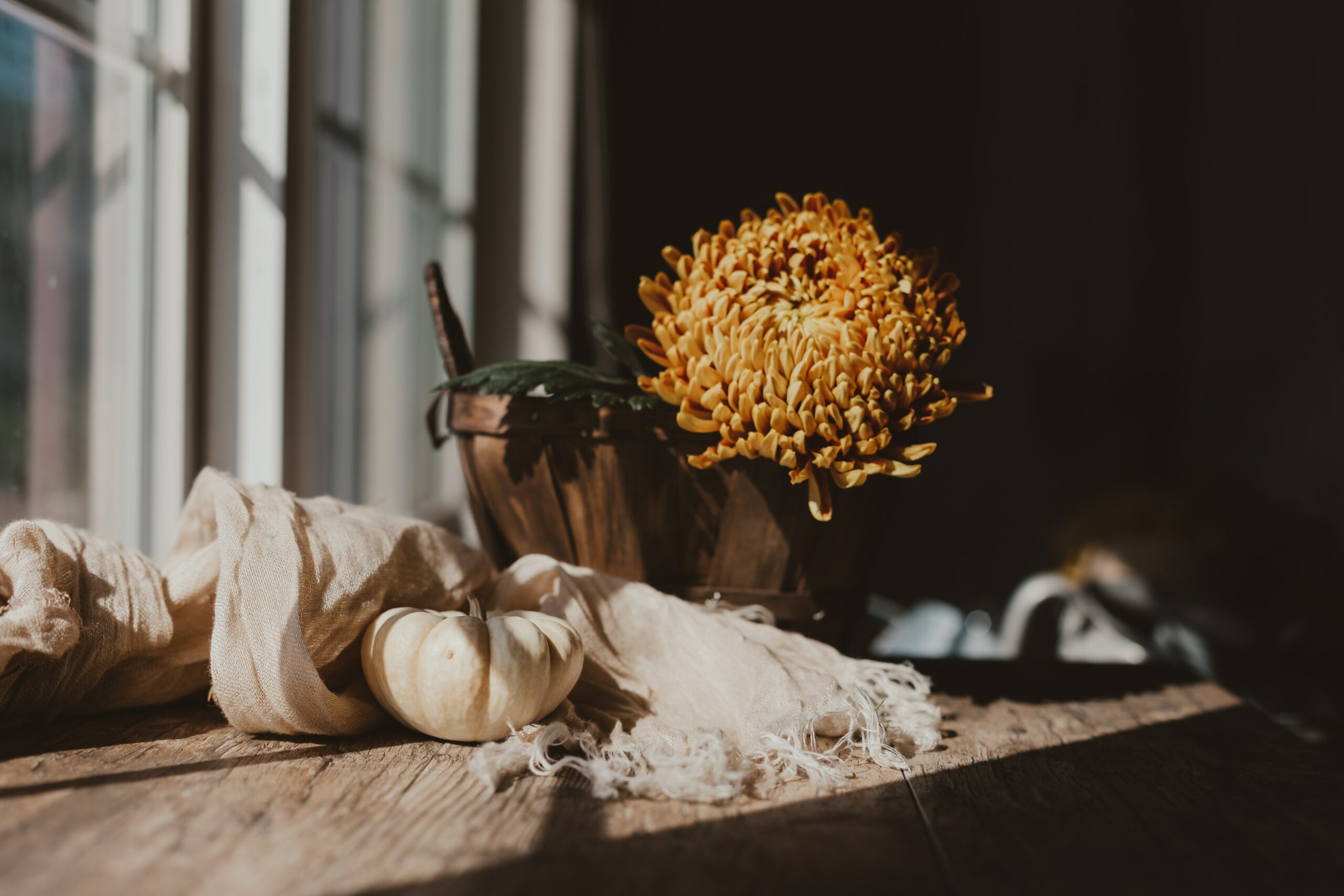 Calm and Natural Fall Display with Small Cream Pumpkin