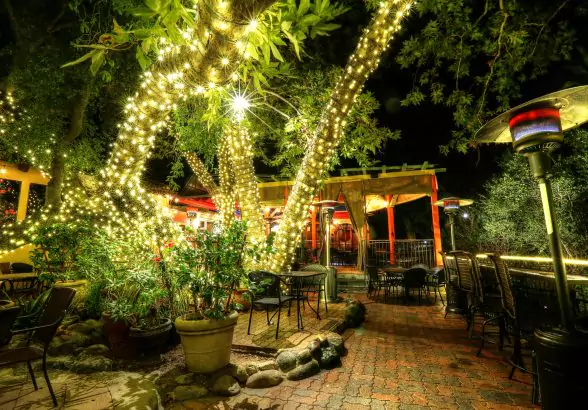 Rose Canyon Cantina Outdoor Dining Patio at Night with String Lights, Trees, and Outdoor Heaters