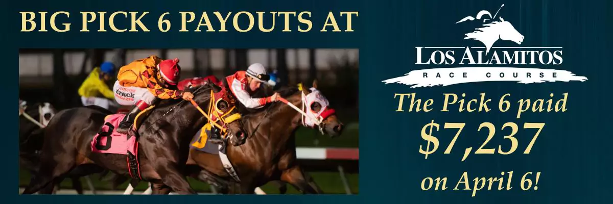 Racehorses wearing the numbers 9 and 10 and jockeys racing along the dirt track at Los Alamitos Race Course