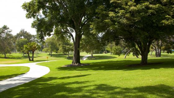 Winding sidewalks and open green space with plenty of shade from large trees at Mile Square Regional Park