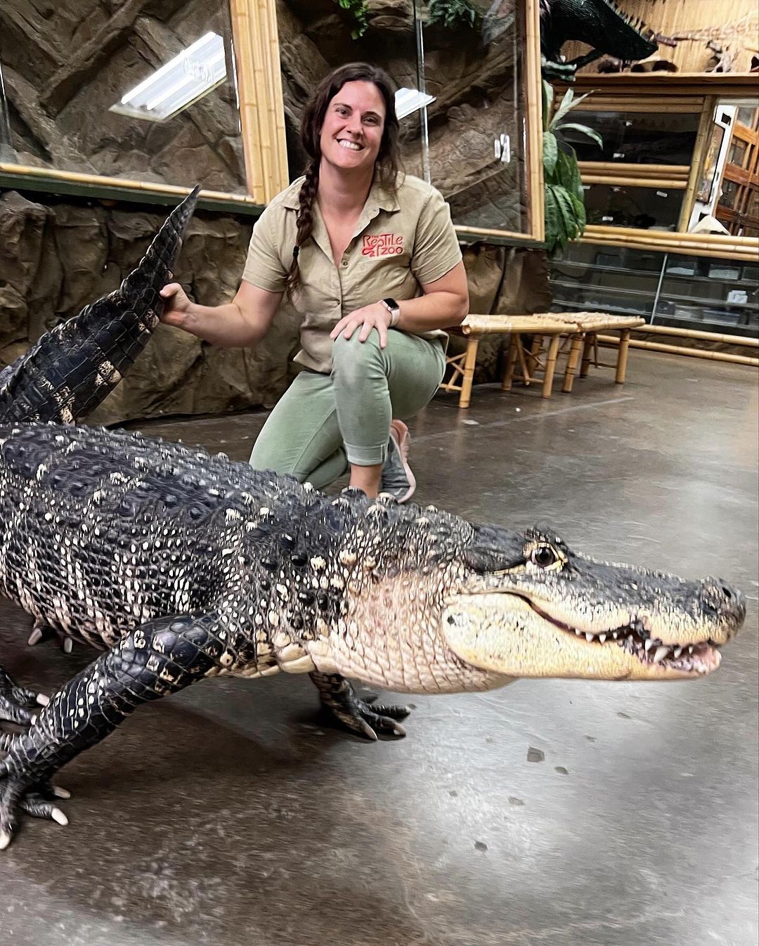 Zookeeper with Alligator at The Reptile Zoo in Fountain Valley