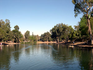 Laguna Lake surrounded by pine trees on a clear sunny day