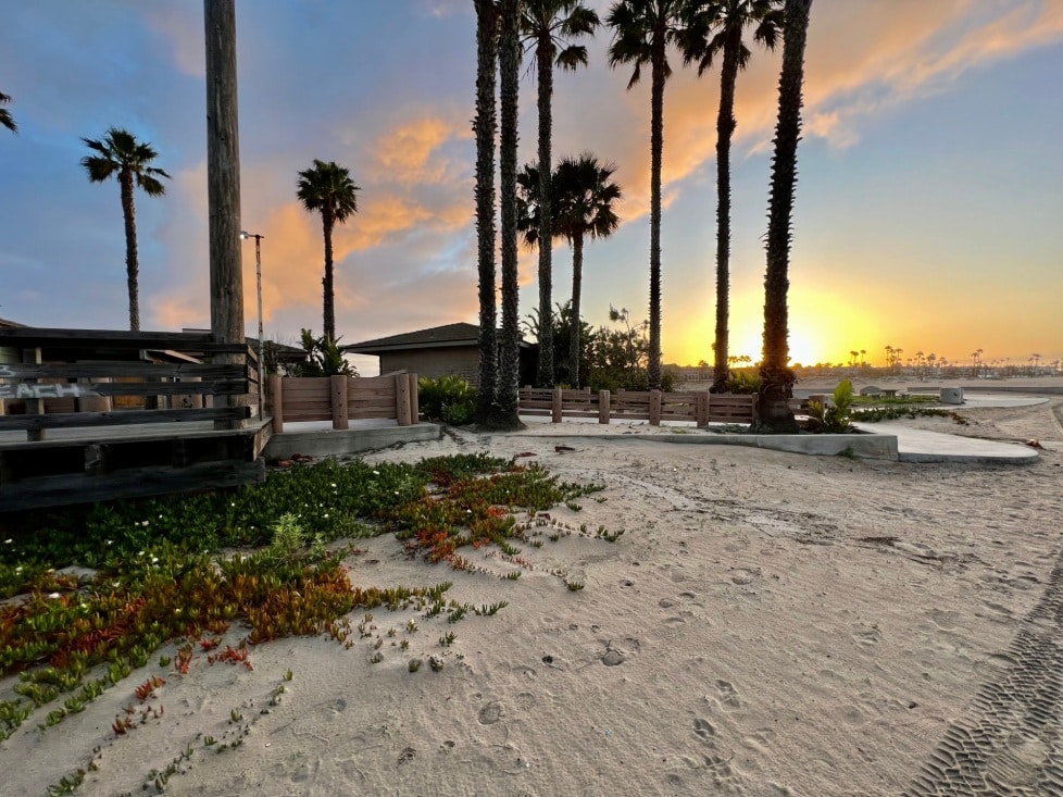 Dining in Seal Beach