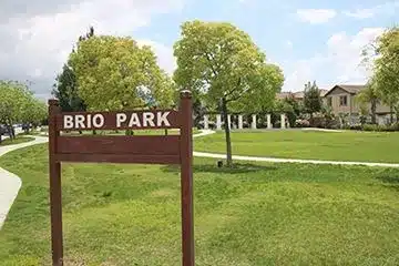 Brio Park featured image