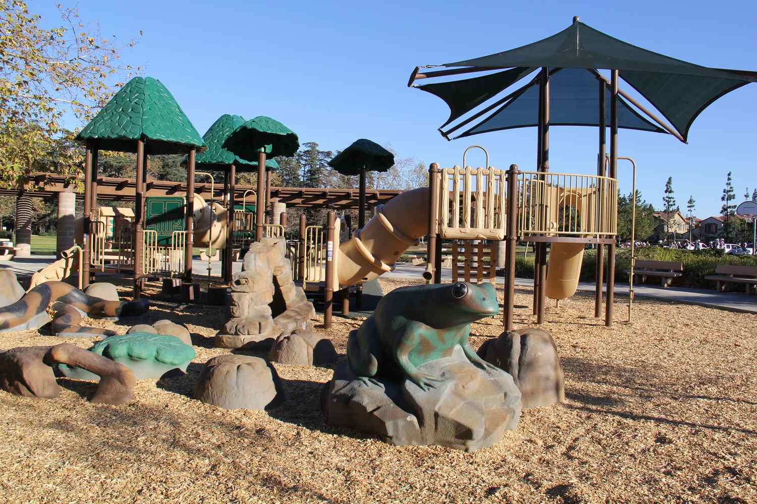 Cedar Grove Park featured image