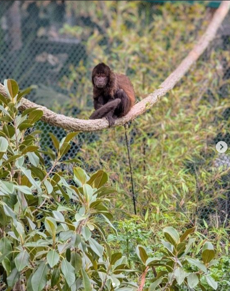 Santa Ana Zoo