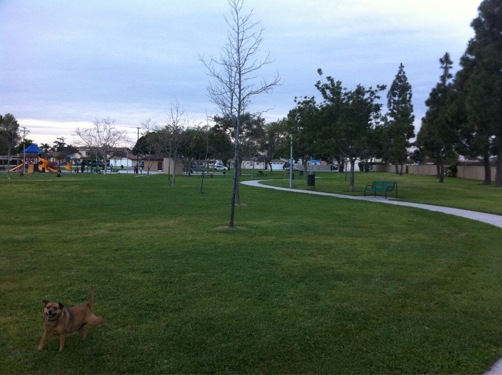 liberty park featured image