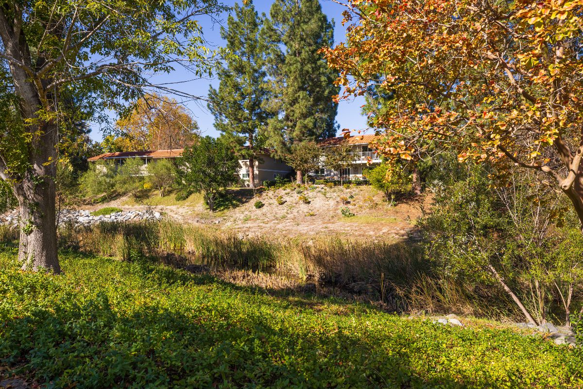 Laguna Woods community common area with woods backing to condo units