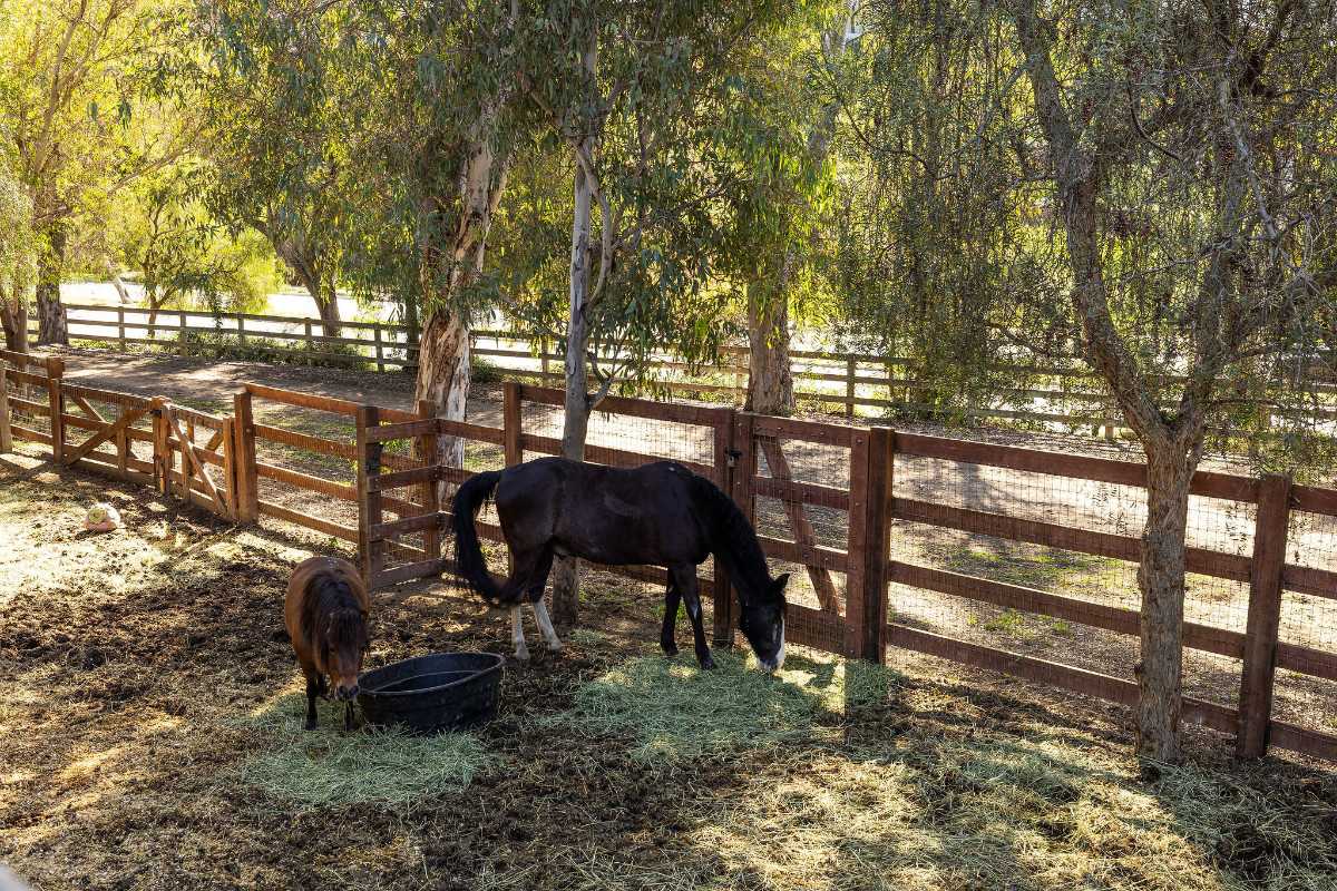 Brad Feldman Group Top Laguna Hills Realtor 24972 Buckboard Ln web 30