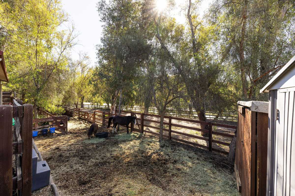 Brad Feldman Group Top Laguna Hills Realtor 24972 Buckboard Ln web 31