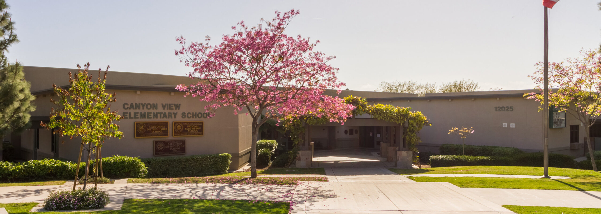 Canyon View Elementary School