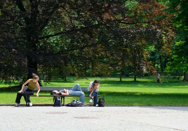 pexels szafran 32804628